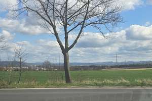 4 Zimmer mit allem, was das Herz begehrt in Leubnitz! 5 min bis zur A17! 12 min in das Zentrum