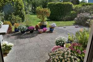 Property thumbnail 18