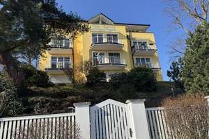 Monatsweise möbliert mieten. Traumhaft DIREKT an der ELBE – Tolkewitzer Straße 59a, 1277 Blasewitz (Stadtteil), Dresden – Vorschaubild 27