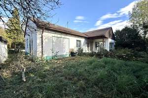 1a Lage in Günzburg! Ehem. Gärtnerei, 2 Wohnhäuser mit 5500m2 Grund mit großem Potenzial! – Die vollständige Adresse der Immobilie erhältst du vom Anbieter., 89312 Günzburg – Vorschaubild 9