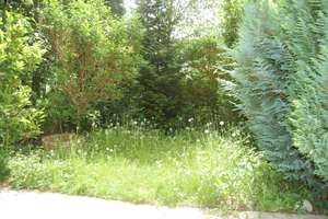 Gepflegtes Reihenmittelhaus in München-Ramersdorf mit 4 Zimmern – görzerstr 123 b, 81669 Balanstraße-West, München – Vorschaubild 11