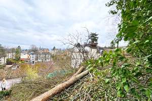 Tiefgarage und Aufzug im grünen Dambachtal - KfW-55 - Erstbezug – Die vollständige Adresse der Immobilie erhältst du vom Anbieter., 65193 Nordost, Wiesbaden – Vorschaubild 9