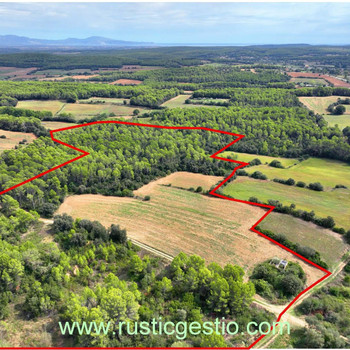 Rustikales Anwesen mit Bauernhaus in Runes a Llampaies (alt empordà)