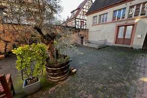 Perle im Gerberbachviertel ! – Rhein-Neckar-Kreis – Vorschaubild 2