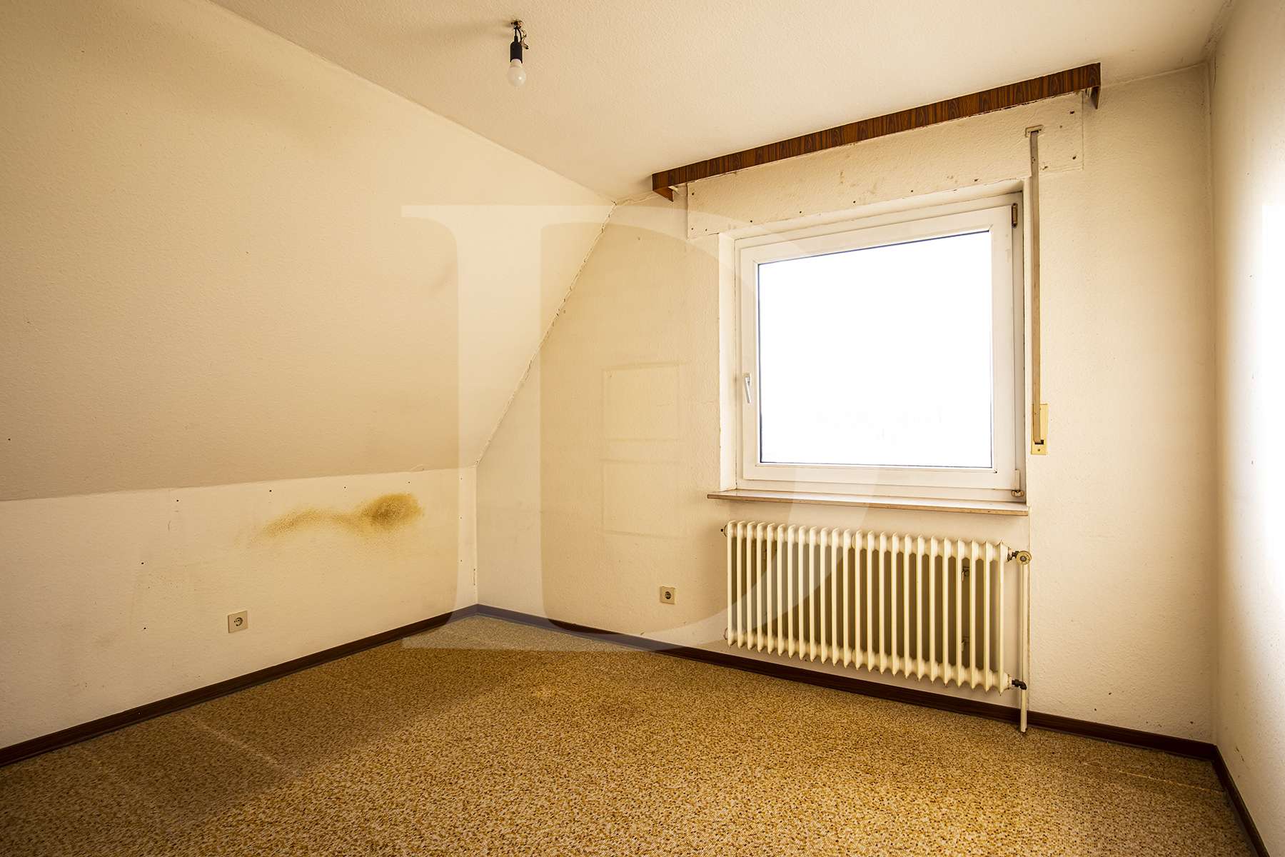 Immobilie in Zetel - Einfamilienhaus in ruhiger und zentraler Lage von Zetel - Bild 5