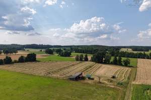 Wo Träume weiden!  Reiterrefugium mit modernem ZFH und  2,7 ha Land am Rand der Lüneburger Heide – Die vollständige Adresse der Immobilie erhältst du vom Anbieter., 21271 Asendorf – Vorschaubild 35