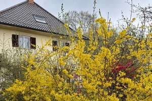 Familienvilla im Dornröschenschlaf  -  Bestes Obermenzing  -  Nymphenburger Kanal – Die vollständige Adresse der Immobilie erhältst du vom Anbieter., 81245 Obermenzing, München – Vorschaubild 9