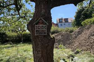 Dachgeschoss-Traum mit zwei sonnigen Terrassen – Grünauer Straße 28, 12524 Altglienicke, Berlin – Vorschaubild 12