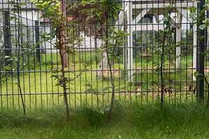 helle 3-Zimmer-Wohnung mit drei Terrassen und zwei Gärten – München – Vorschaubild 8