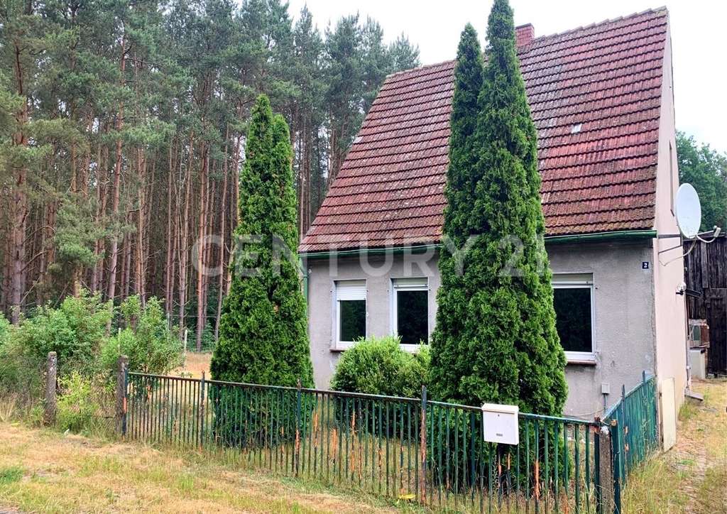 Immobilie in Torgelow - Raus aus der Stadt – rein ins eigene Projekt mit großem Grundstück - Bild 1