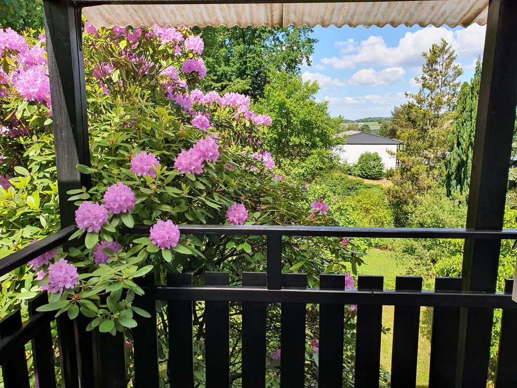 Immobilie in Laubach - Freistehendes, ruhig gelegenes Einfamilienhaus im Grünen - Bild 3