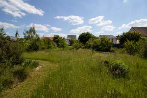 Energieeffiziente Familienoase mit großem Garten in Westheim – Die vollständige Adresse der Immobilie erhältst du vom Anbieter., 67368 Westheim (Pfalz) – Vorschaubild 15