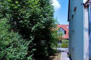 Modernes 3-Zimmer Haus in Hillerse – Rolfsbütteler Straße 32, 38543 Hillerse – Vorschaubild 3