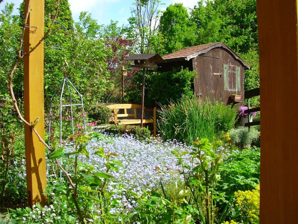 Immobilie in Wattenheim - Viel Wohnraum, viel Grün, viele Optionen! - Bild 2