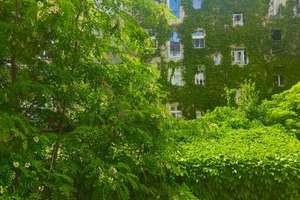 Charmante Maisonette mit Südbalkon im Dachgeschoss im Prenzlberg – Die vollständige Adresse der Immobilie erhältst du vom Anbieter., 10405 Prenzlauer Berg, Berlin – Vorschaubild 2