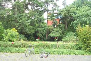 Wohnen in absoluter Ruhiglage mit Terrasse und Gartenmitbenutzung, WG-geeignet – Kaiser-Friedrich-Str. 15-17, 53113 Gronau, Bonn – Vorschaubild 10