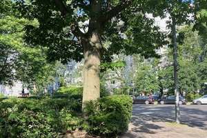 2 - Zimmer Wohnung in Friedrichshain! Zum Verkauf! – Rüderdorfer Straße 14, 10243 Friedrichshain, Berlin – Vorschaubild 8