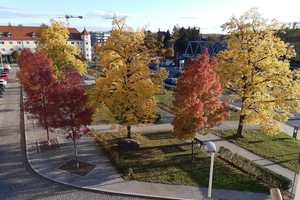 NEU - Repräsentative Jugendstil-Stadtvilla - Helle Wohnung in idealer Lage – Siegfried-Rädel-Straße 2, 1809 Sächsische Schweiz-Osterzgebirge (Kreis) – Vorschaubild 9