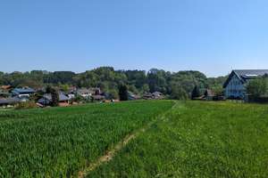 Einfamilienhaus mit ELW und großem Grundstück für Tierhaltung! – Die vollständige Adresse der Immobilie erhältst du vom Anbieter., 84364 Bad Birnbach – Vorschaubild 4