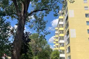 Erstbezug nach Renovierung: Möblierte 1-Zimmer-Wohnung mit Westbalkon – Linus-Funke-Weg 22, 80995 Lerchenau-West, München – Vorschaubild 15