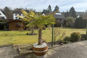 Property thumbnail 84