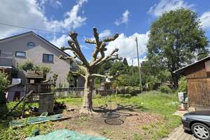 MFH mit 5 Wohneinheiten in Rheinfelden OT Minseln – Die vollständige Adresse der Immobilie erhältst du vom Anbieter., 79618 Rheinfelden (Baden) – Vorschaubild 6