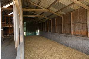 Resthof mit Hauskoppel, Stallungen, Schuppen und Ausbaureserve in Friedrichsholm - mitten in SH – Die vollständige Adresse der Immobilie erhältst du vom Anbieter., 24799 Friedrichsholm – Vorschaubild 14