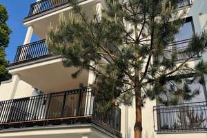 Kaiserswerth Rheinauenblick: luxuriöse, lichtdurchflutete 4-Zimmer-Wohnung im 2.OG