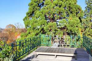 Außergwöhnliches Wohnen! Dachgeschoss-Wohnung mit Dachterrasse in begehrter Lage von Reutlingen – Herderstraße 1, 72762 Reutlingen-Mitte, Reutlingen – Vorschaubild 7