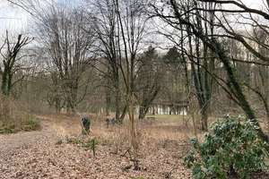Sanierungsobjekt! 
Mehrfamilienhaus in Bünde ! – Die vollständige Adresse der Immobilie erhältst du vom Anbieter., 32257 Bünde – Vorschaubild 8