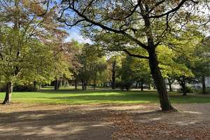 Property thumbnail 14