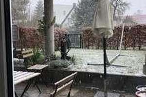 Property thumbnail 13