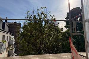 Moderne 3-Zimmer-Wohnung mit Balkon! – 40237 Düsseltal, Düsseldorf – Vorschaubild 8