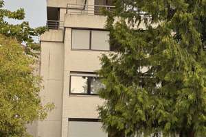 Penthaus 3OG in ruhiger Lage in Bad Bergzabern – Friedhofstraße 9, 76887 Bad Bergzabern – Vorschaubild 7