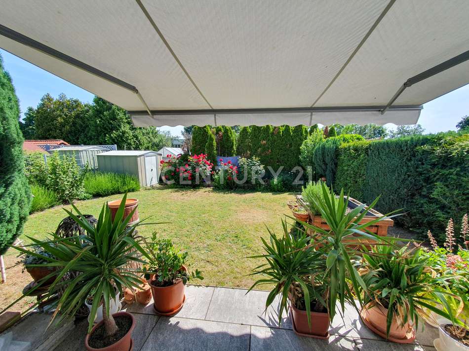 Blick in den Garten