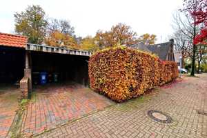 Handwerker aufgepasst! Architektenhaus mit Wasserschaden! – Oldenburg (Oldenburg) – Vorschaubild 25