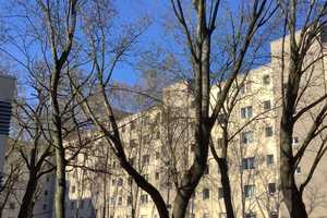 Ihre neue Wohnung: ansprechende 3-Zimmer-Wohnung – Südekumzeile 49, 13591 Berlin – Vorschaubild 2