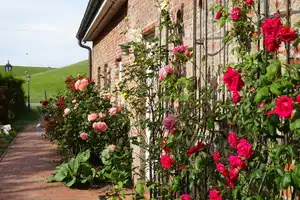 Alleinstehendes Reetdachhaus mit wunderschönem Garten in Meernähe – Norderhaffdeich 4, 25849 Nordfriesland (Kreis) – Vorschaubild 9