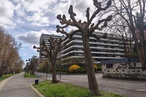 Attraktive 1-Zimmer-Wohnung mit Balkon direkt am Rhein in Köln-Rodenkirchen – Die vollständige Adresse der Immobilie erhältst du vom Anbieter., 50996 Rodenkirchen (Ortsteil), Köln – Vorschaubild 2