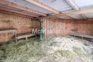 Traumhafte Deichlage für Pferdefreunde: Gehobenes Bauernhaus mit Reithalle, Stallboxen und Hallenbad – Leer (Kreis) – Vorschaubild 19