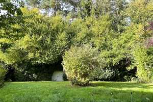 Einfamilienhaus mit Einliegerwohnung in beliebter Wohnlage nahe Schulviertel - nach WEG geteilt – Fulda (Kreis) – Vorschaubild 16