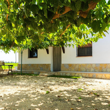 Rustikales Anwesen mit Landhaus in Els Muntells, Delta del Ebro