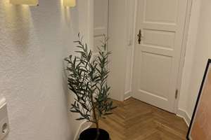 3-Zimmer-Erdgeschosswohnung mit Balkon in zentraler Lage von Langenhagen  Ab sofort zu vermieten! – Niedersachenstrasse 82, 30880 Langenhagen – Vorschaubild 2