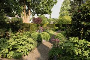 Beeindruckende Unternehmer-Villa in Best Lage von Gelsenkirchen-Buer
 – 45894 Buer, Gelsenkirchen – Vorschaubild 15