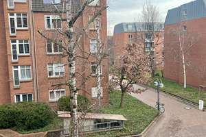 Property thumbnail 14