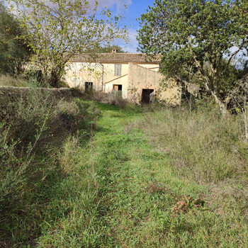 Rustikales Anwesen mit 100.261 m² und einem renovierungsbedürftigen Haus aus dem Jahr 1940