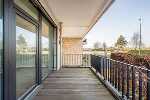 Property thumbnail 7