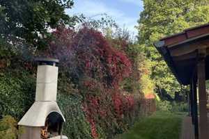 Traumhaus in herrlicher Alleinlage mit Fernblick am Rande des Pfälzer Waldes – Zweibrücken – Vorschaubild 41