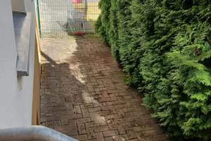 Singles, Studenten, Berufseinsteiger - 1 Zimmer- Wohnung – Glauchauer Straße 9, 9113 Schloßchemnitz, Chemnitz – Vorschaubild 9