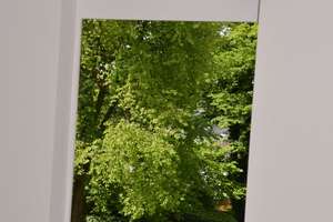 Property thumbnail 25